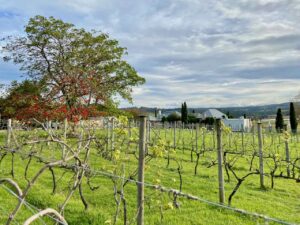 South Coast Wineries